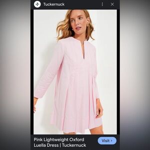 Tuckernuck Oxford dress